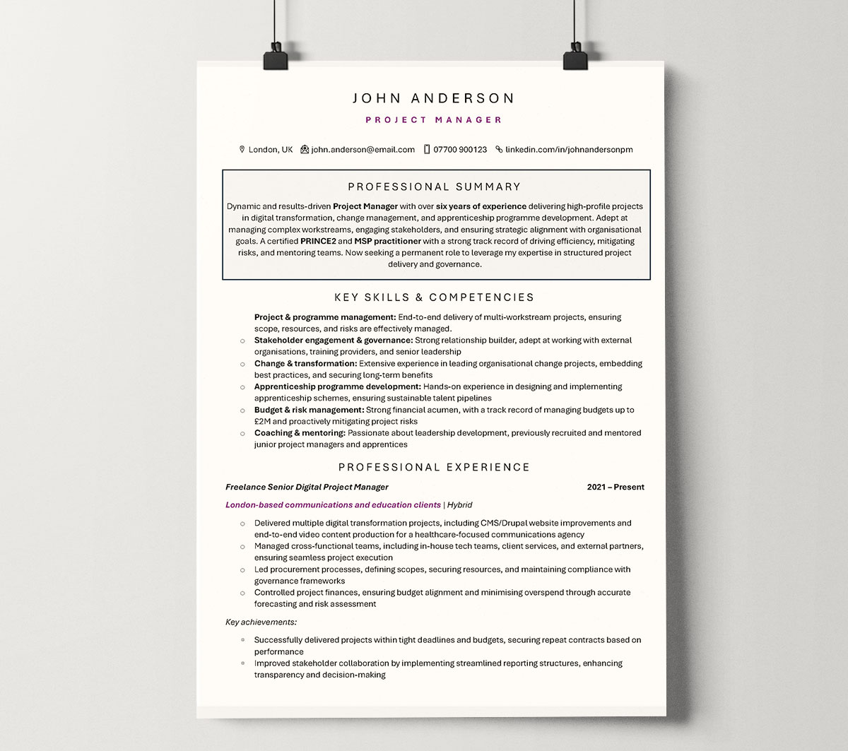 Project manager cv example - CV template preview