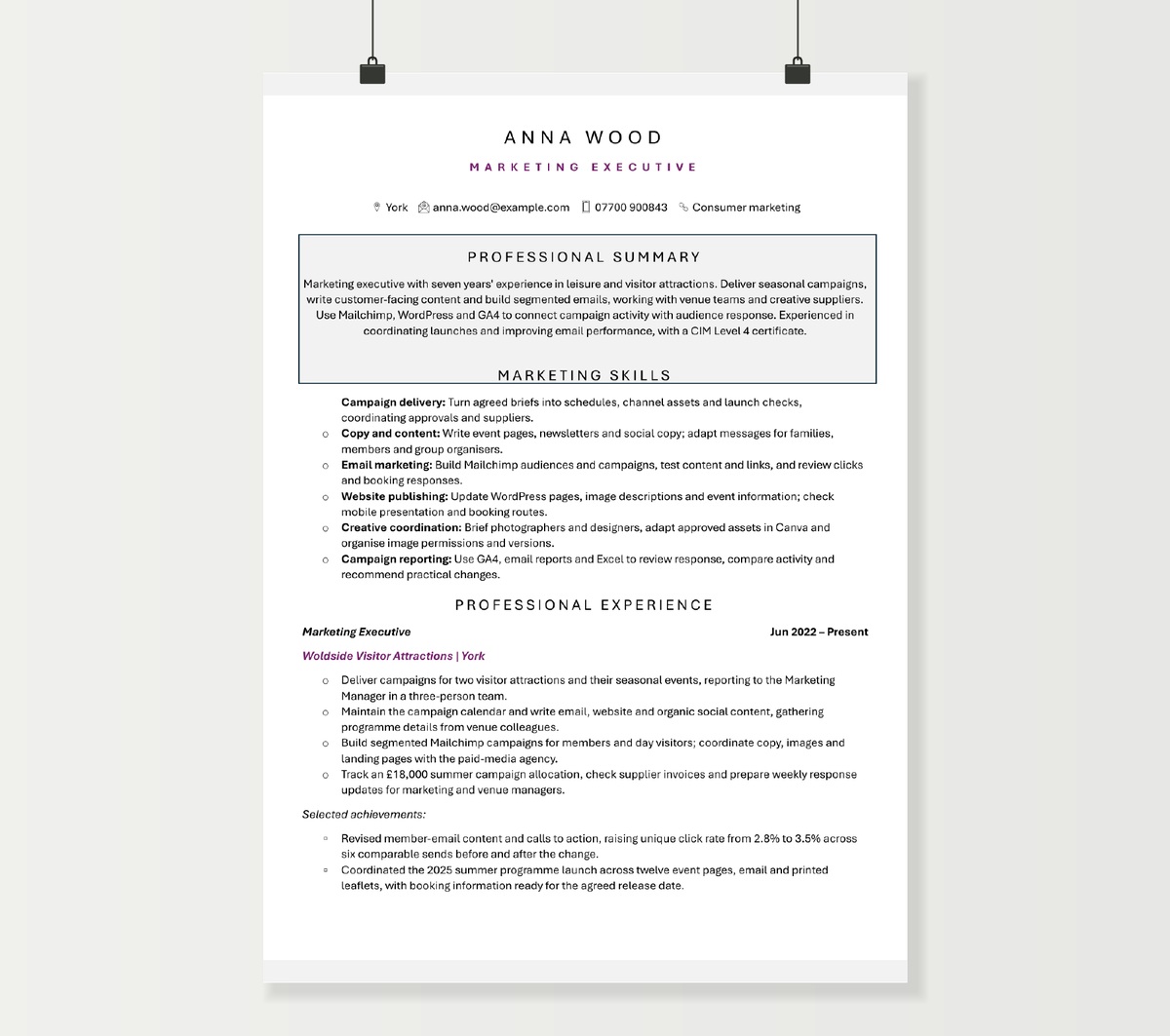 Marketing executive CV preview showing Anna Wood’s profile and campaign delivery experience